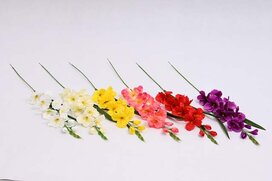 gladiol 76 cm