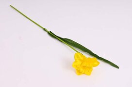 narcis 40 cm