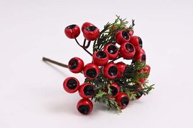 zapichovačky bobule 20 cm