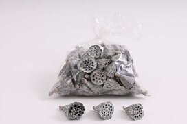 sušina mini lotos 3 až 5 cm