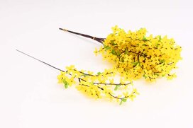 zlatý dážď 52 cm