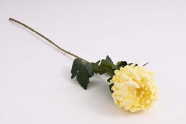 chryzantéma 74 cm
