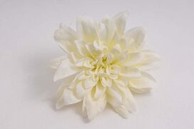 dália 11 cm