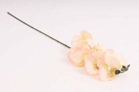 orchidea 76 cm