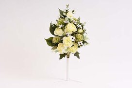 kytica ruža, bodliak ležatá 45 cm