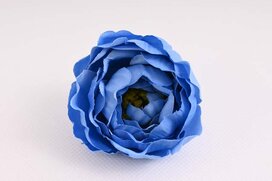 pivónia 7 cm