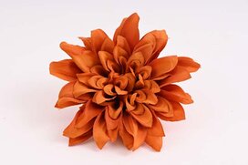 dália 11 cm