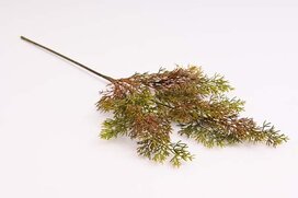 konár tuja 58 cm