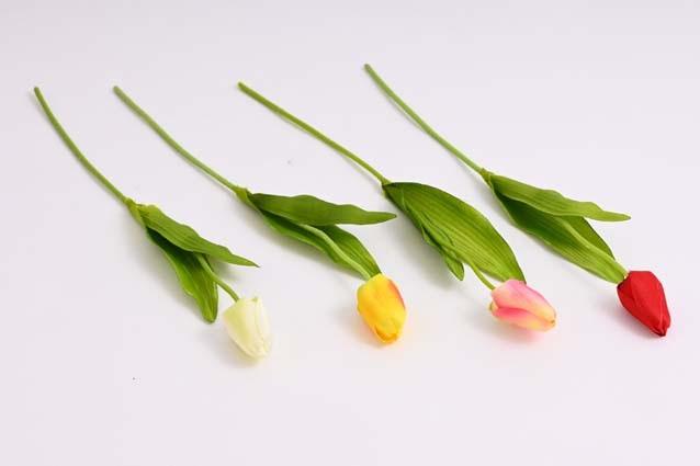 Tulipány, Zlatý dážď, Bahniatka, Narcisy