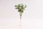 trs eukalyptus 46 cm