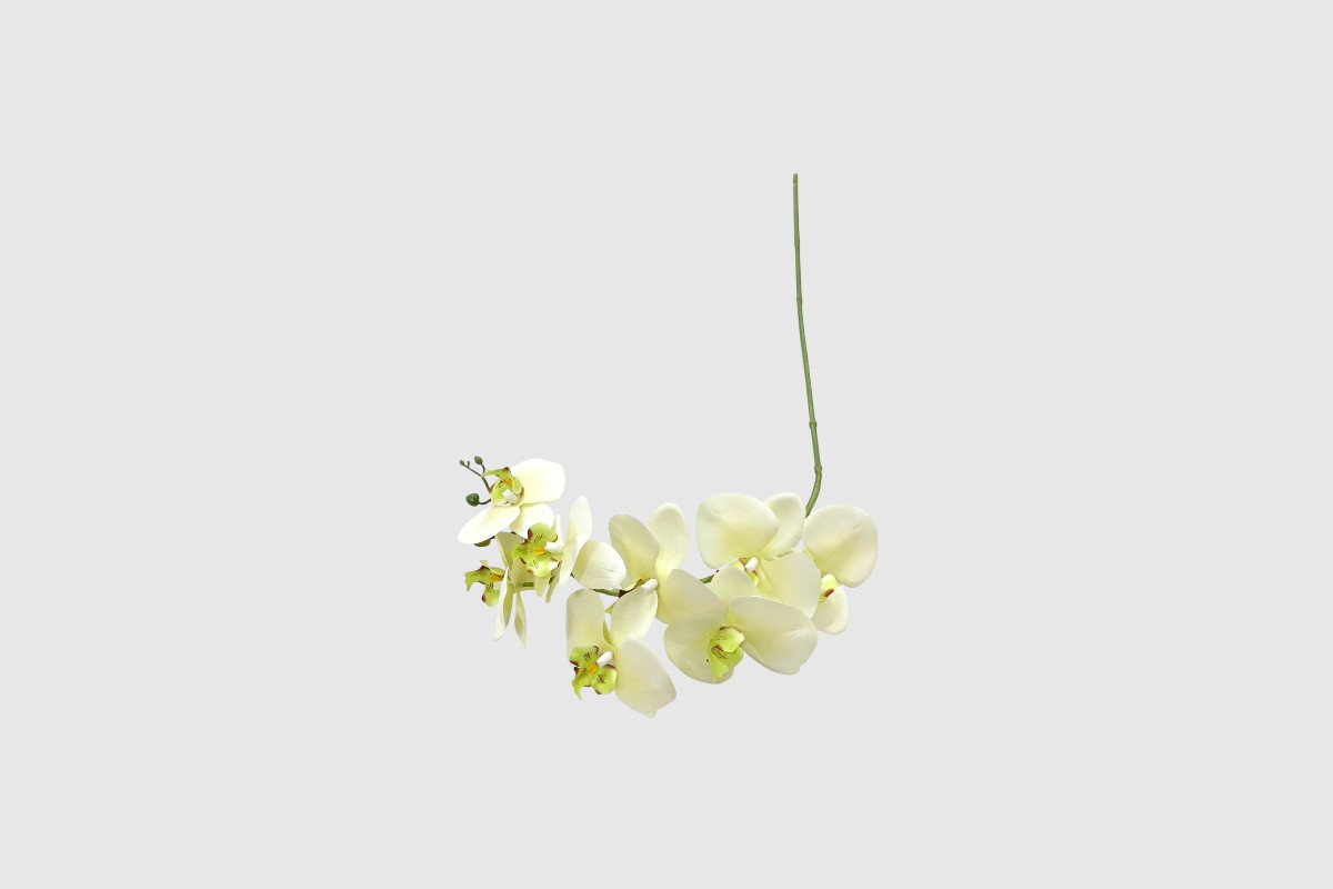orchidea 85 cm orchidea 85 cm