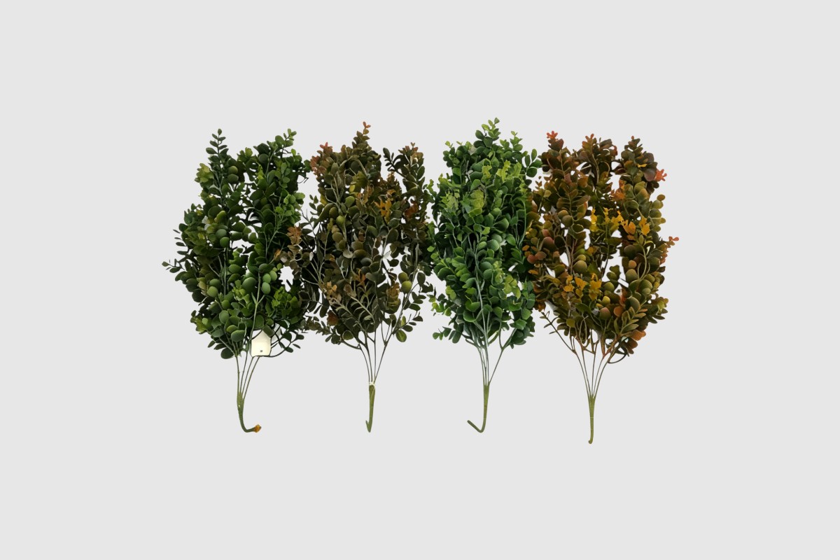 eukalyptus tahačka 85 cm eukalyptus tahačka 85 cm