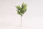 trs eukalyptus 33 cm