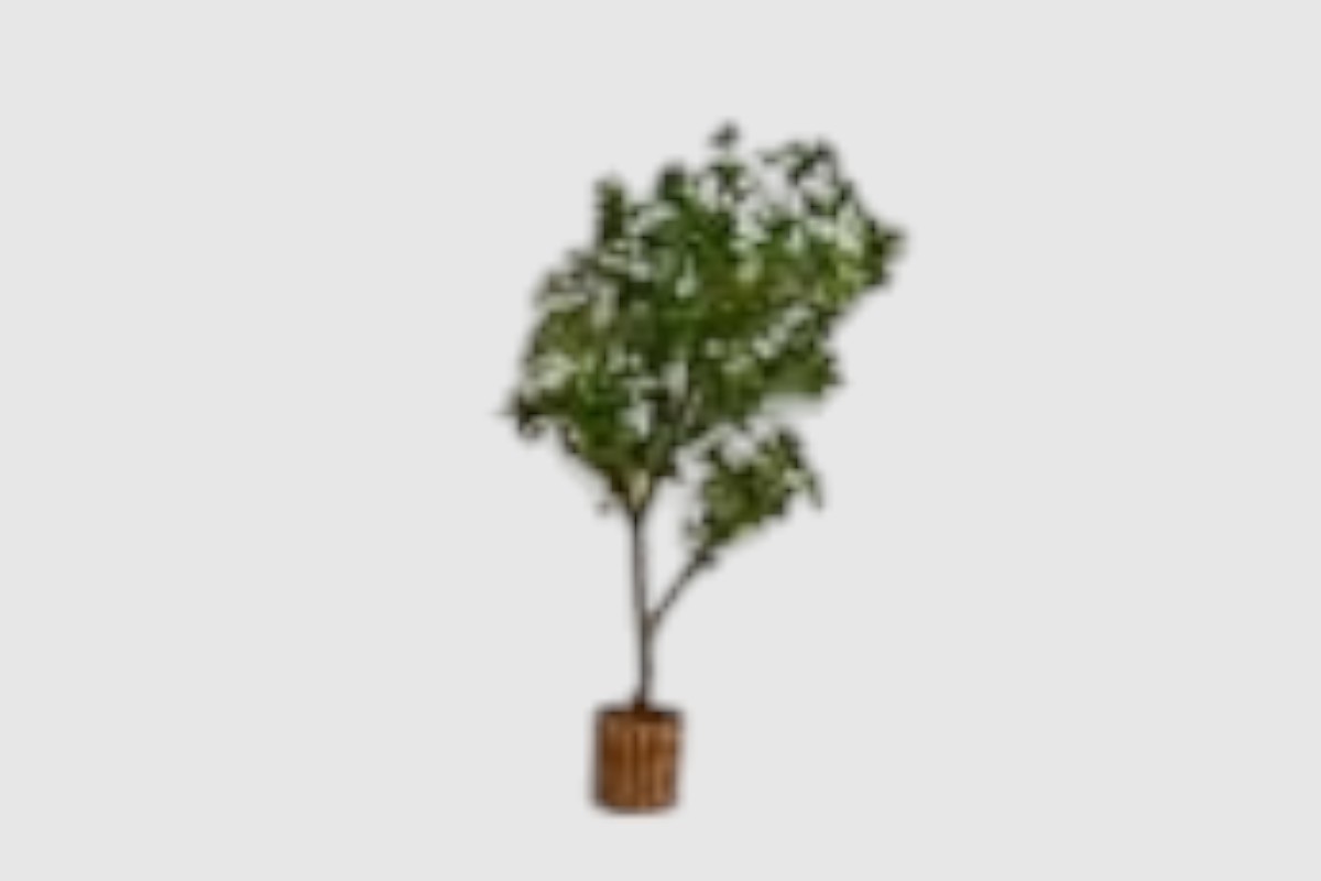 strom 150 cm