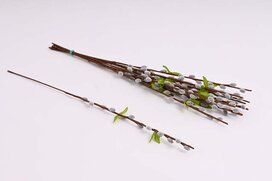 bahniatko s lístkami 50 cm
