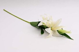 ľalia EXKLUZIV 103 cm