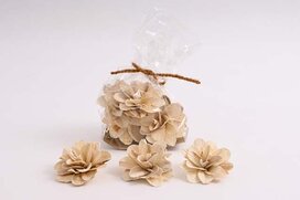 sušina kvety ruža 10 cm