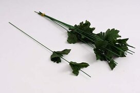 stopka do chryzantém 50 cm stopka do chryzantém 50 cm